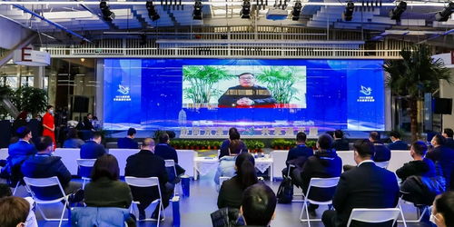 京津冀運河文化旅游城市合作組織 以文化藝術交流為紐帶，共繪協同發展新畫卷